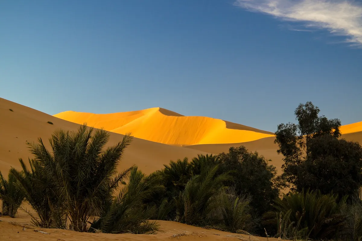 Oasis de Hassi Labied — Merzouga, Erg Chebbi