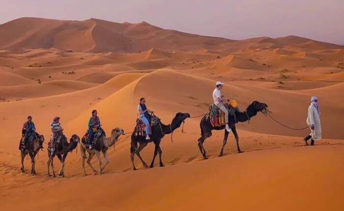 3 Days Tour From fes to Marrakech