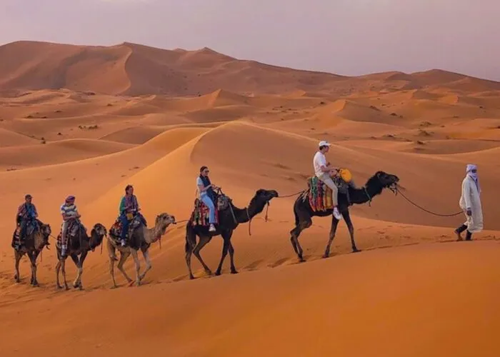 3 Days Tour From fes to Marrakech