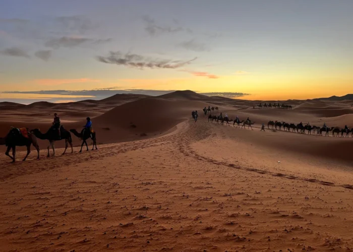 Camel caravan at sunset in the Erg Chebbi dunes near Merzouga