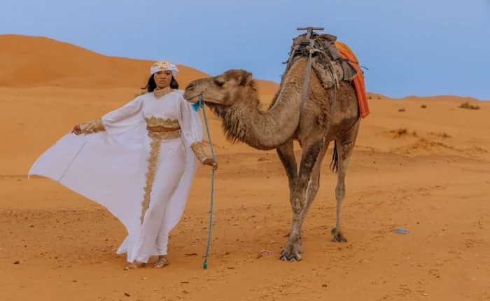 6 Days Tour From fes to Marrakech