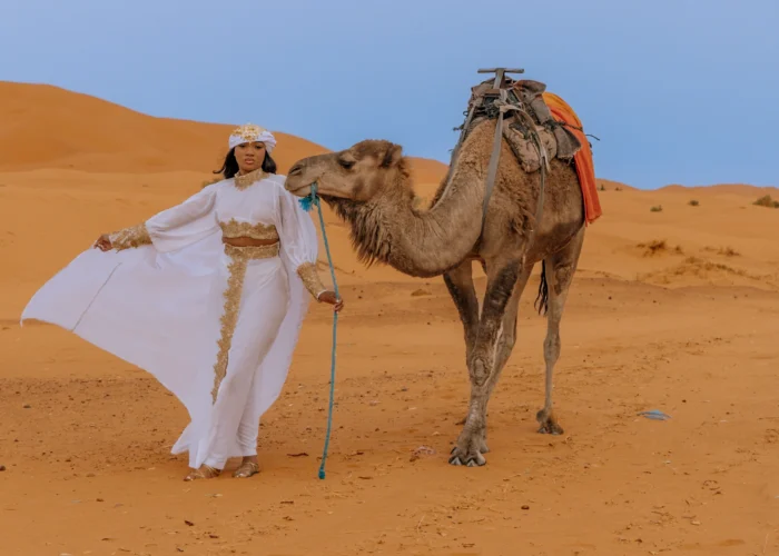 6 Days Tour From fes to Marrakech