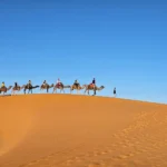 Camel trekking in Erg Chebbi dunes Merzouga on Marrakech to Fes tour