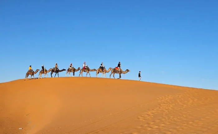 Camel trekking in Erg Chebbi dunes Merzouga on Marrakech to Fes tour