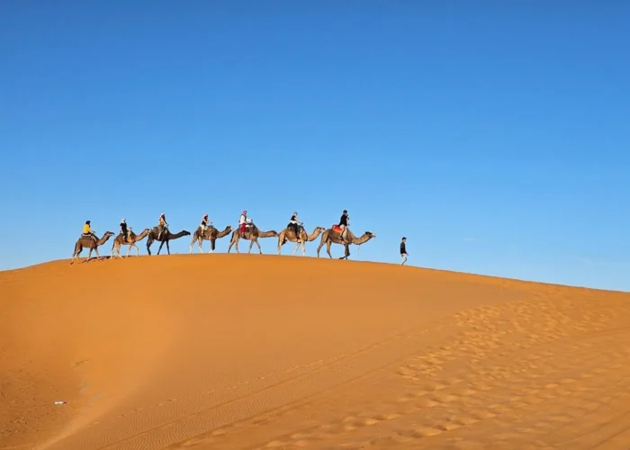 Camel trekking in Erg Chebbi dunes Merzouga on Marrakech to Fes tour