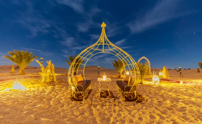 Camel Trekking & Overnight in Camp