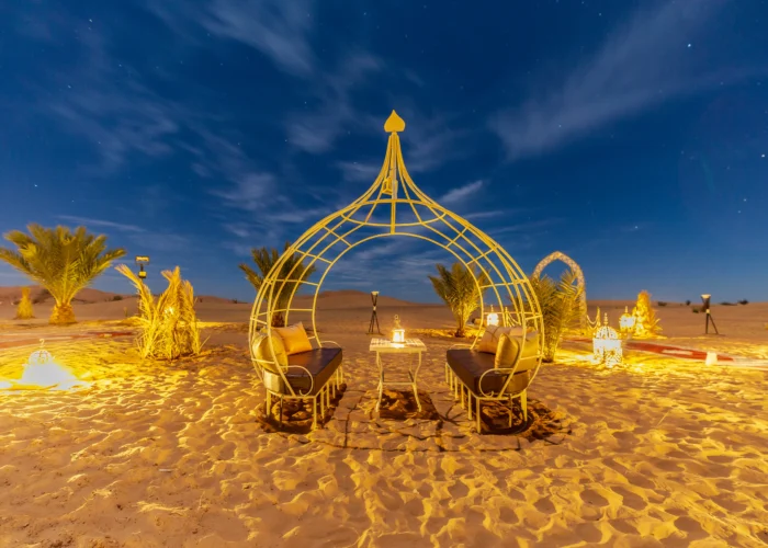 Camel Trekking & Overnight in Camp