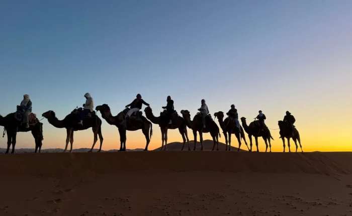Camel trek at sunset in Merzouga during the 8 Days Desert Tour from Tangier to Marrakech