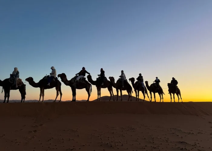Camel trek at sunset in Merzouga during the 8 Days Desert Tour from Tangier to Marrakech