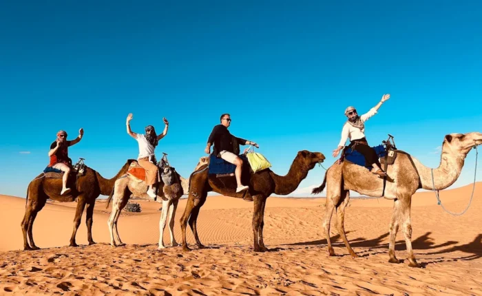 Travelers riding camels across the Sahara sand dunes in Merzouga, Morocco Alt: Camel caravan experience in Merzouga desert with blue sky and golden dunes