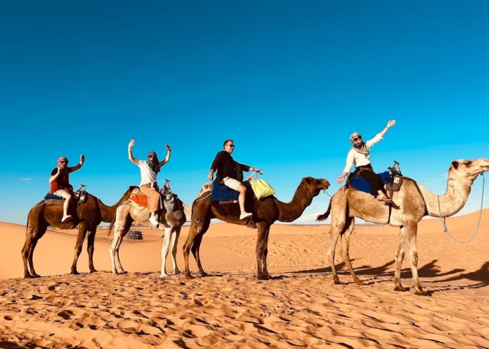 Travelers riding camels across the Sahara sand dunes in Merzouga, Morocco Alt: Camel caravan experience in Merzouga desert with blue sky and golden dunes