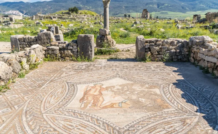 1 Day Trip From Fes to Volubilis 
