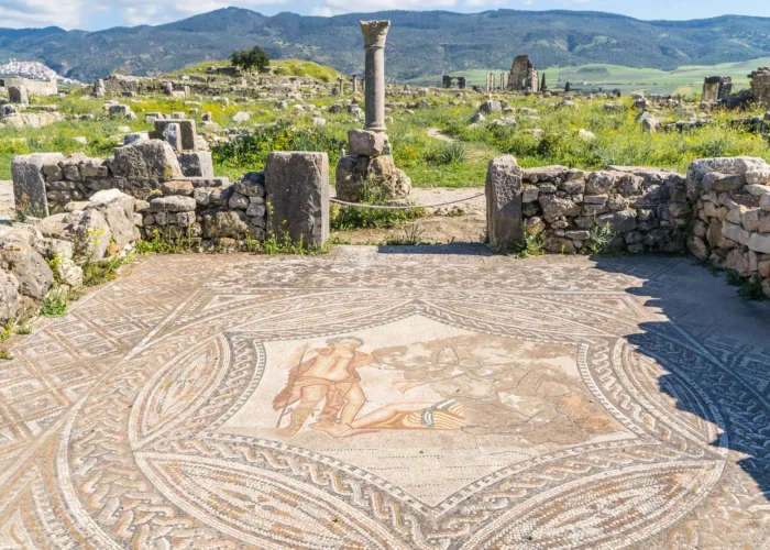 1 Day Trip From Fes to Volubilis 