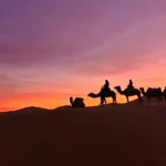 Camel caravan silhouette at sunset in the Merzouga desert (Erg Chebbi)