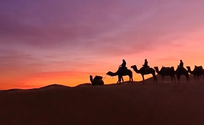 Camel caravan silhouette at sunset in the Merzouga desert (Erg Chebbi)