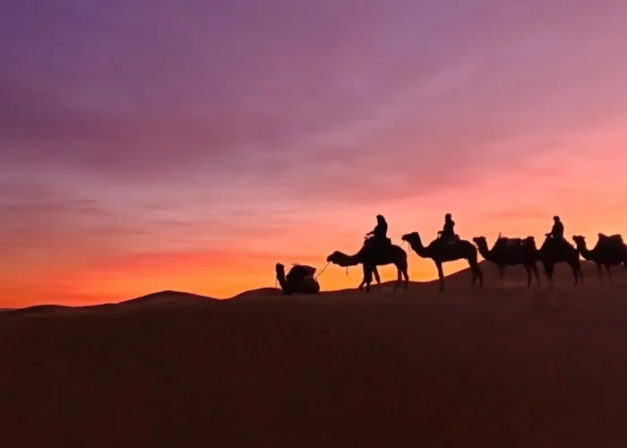 Camel caravan silhouette at sunset in the Merzouga desert (Erg Chebbi)