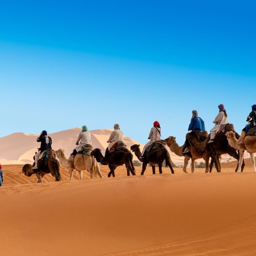 desert-camel-caravan