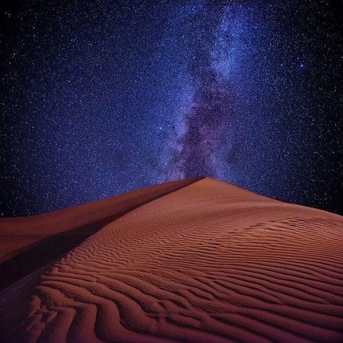 Desert by night
